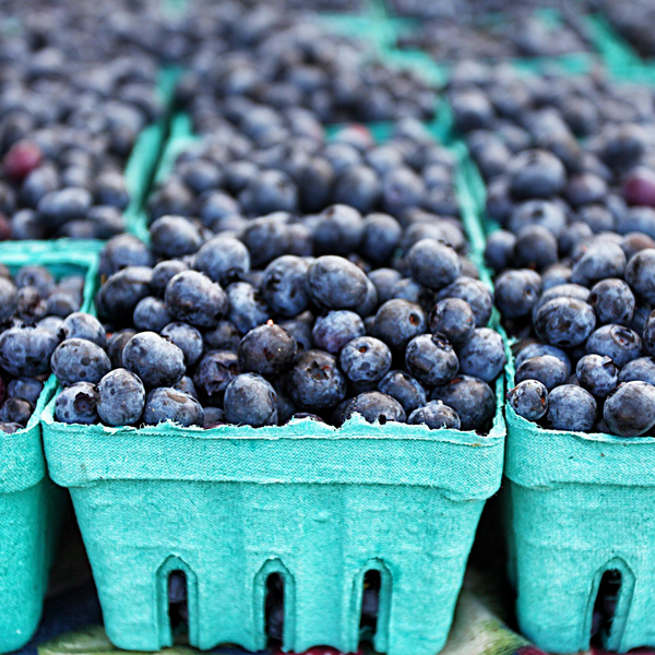 How to Freeze Michigan Blueberries