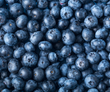 Driscoll's Limited Edition Blueberries - Brennans Market