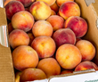 Chin Drippin' Colorado Peaches