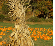 Hay Bales and Corn Stalks - Brennans Market