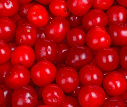 Door County Pie Cherries- Fresh - Brennans Market