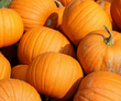 Pumpkins - Brennans Market