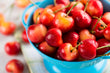 Washington State Rainier Cherries - Brennans Market