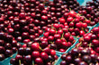 Washington State Bing Cherries - Colossal 9 Row - Brennans Market