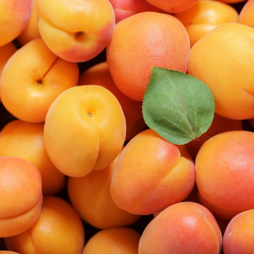 Close-up of apricots with a green leaf on top