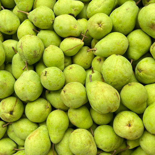 Bartlett Pears