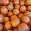 Florida Juicy Crunch Tangerines