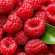 Raspberries (Mexico)