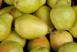 Washington State Pears