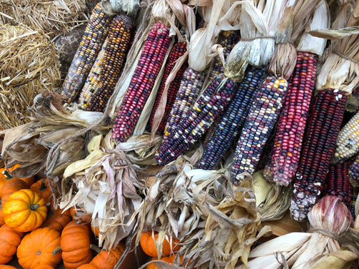 Fall Decoratives - Brennans Market