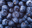 Sweet Batch Blueberries- Driscoll