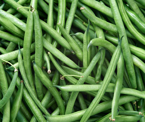 Florida Green Beans - Brennans Market