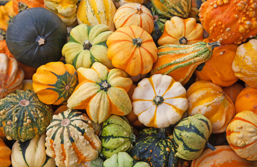 Fall Decoratives - Brennans Market