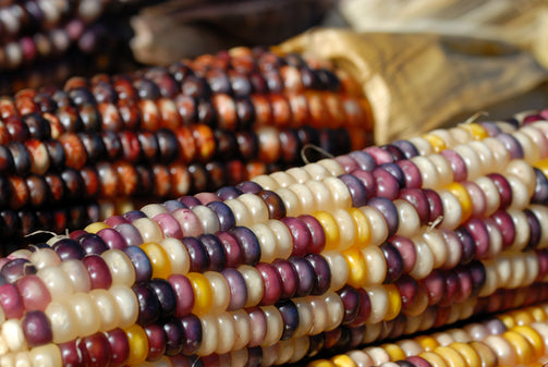 Fall Decoratives - Brennans Market