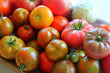 Shady Maple Acres Organic Tomatoes - Locally-Grown - Brennans Market