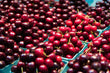 California 10-Row Bing Cherries - Brennans Market