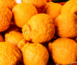 Sumo Oranges - Brennans Market